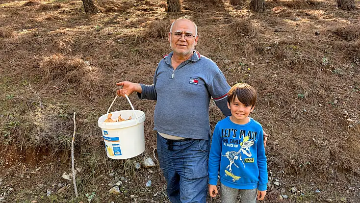Seydikemer Çobanisa'da Çıntar Bereketi