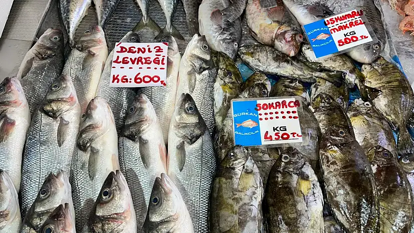 Fethiye Balık Pazarı'nda En Çok Levrek Revaçta