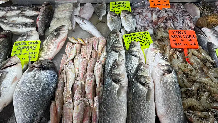 Fethiye'de av yasağı 1 Eylül'de sona eriyor