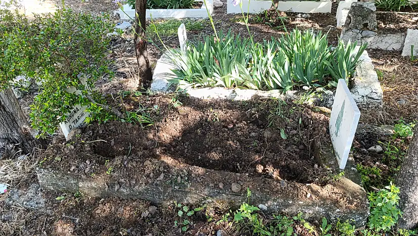 Fethiye Karapınar mezarlığında domuz talanı