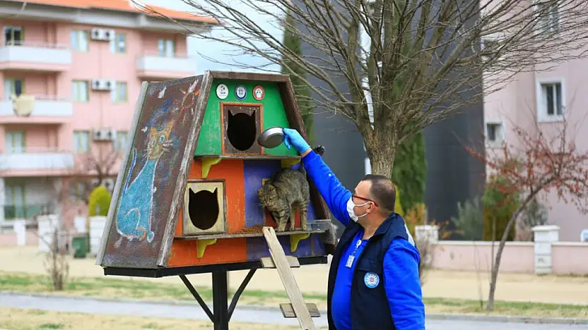 Büyükşehir Üretiyor, Can Dostlar Tüketiyor