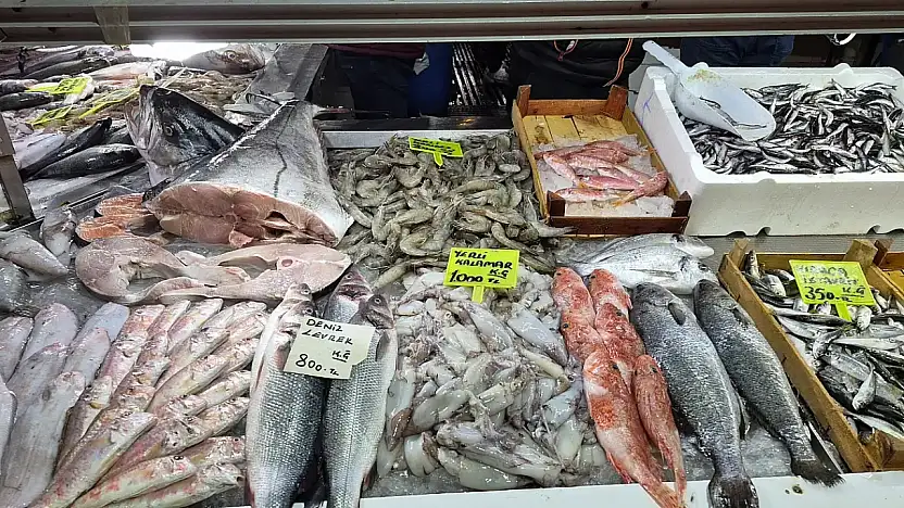 Fethiye Balık Pazarı'nda güncel balık fiyatları