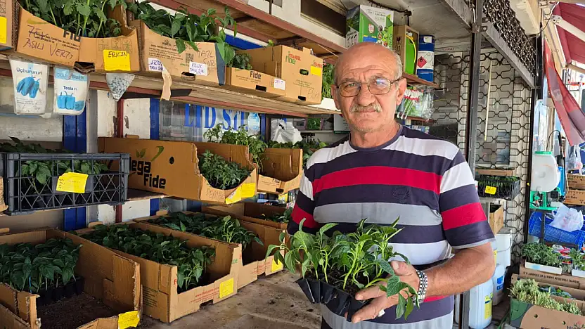 Fethiye'de Hobi Bahçelerinde Yetiştirilen Sebzelerde Dikkat Edilmesi Gerekenler