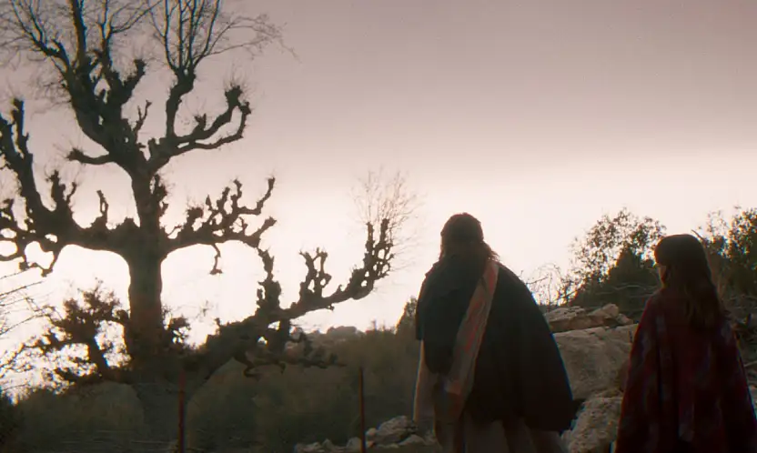 'Balinanın Bilgisi' Fethiye'de 13 Şubat'ta gösterime giriyor