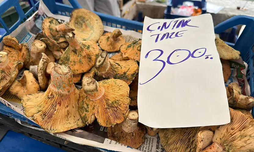 Fethiye'de çıntar sezonu bereketli geçiyor