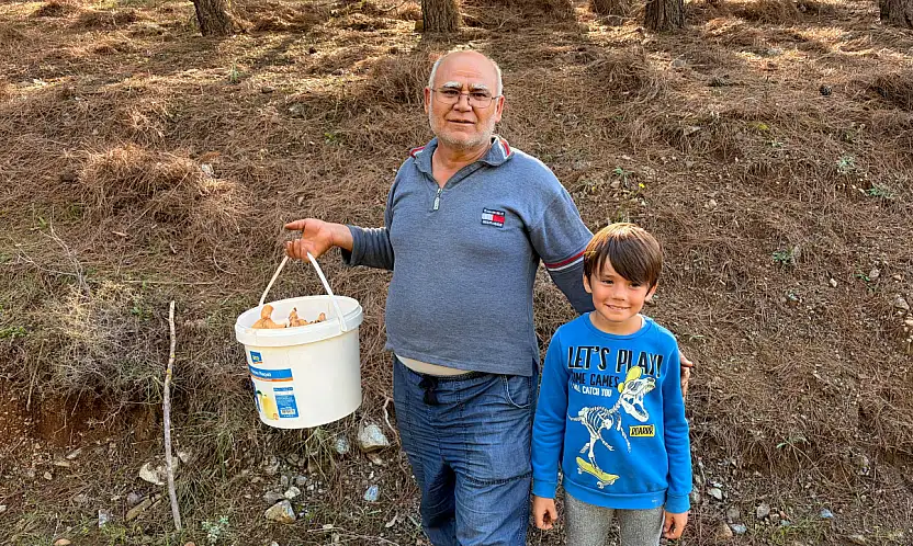 Seydikemer Çobanisa'da Çıntar Bereketi