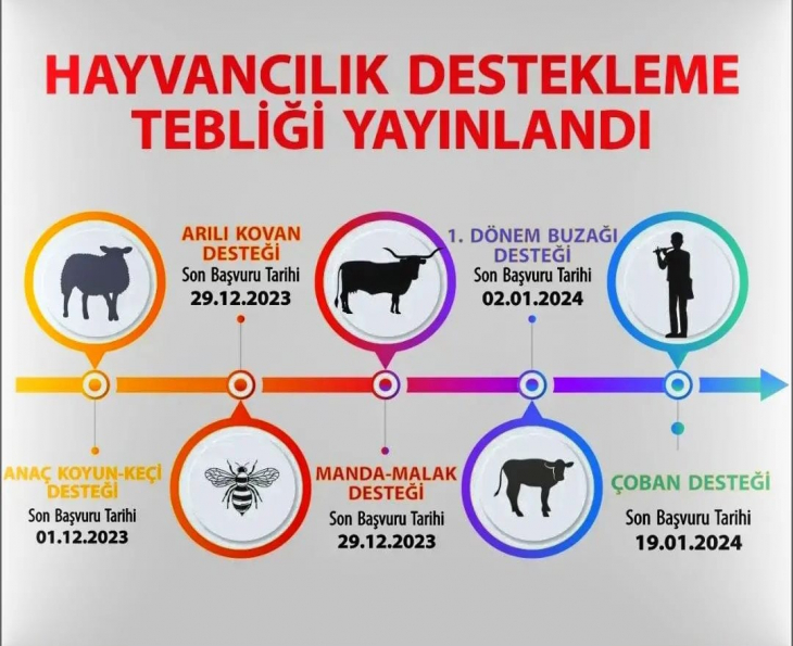 Bu Yıl İçinde Uygulanacak Olan Hayvancılık Desteği Uygulama Tebliği